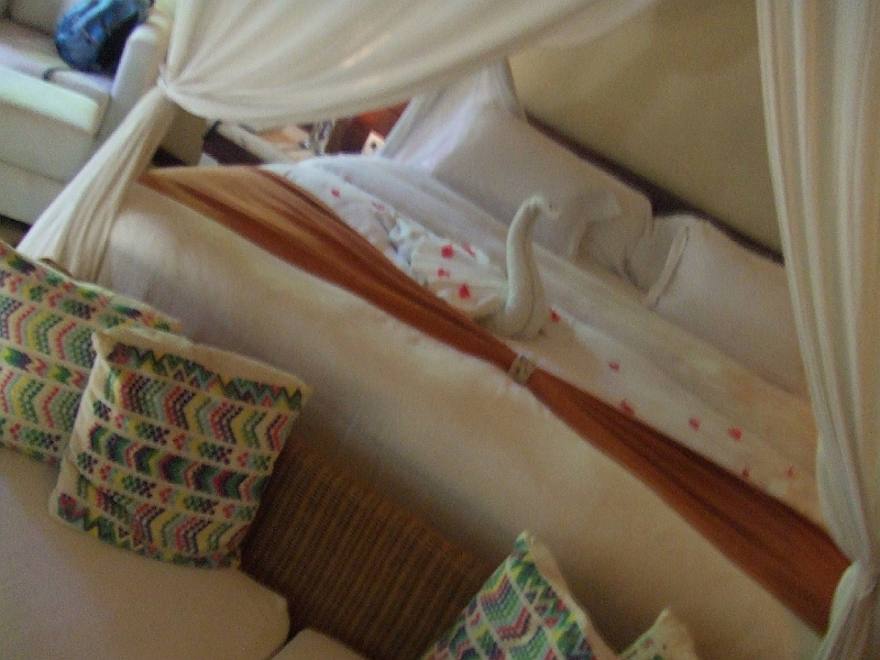 DSCF5954.JPG