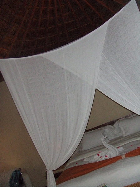 DSCF5955.JPG