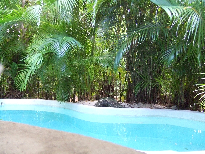 DSCF5973.JPG