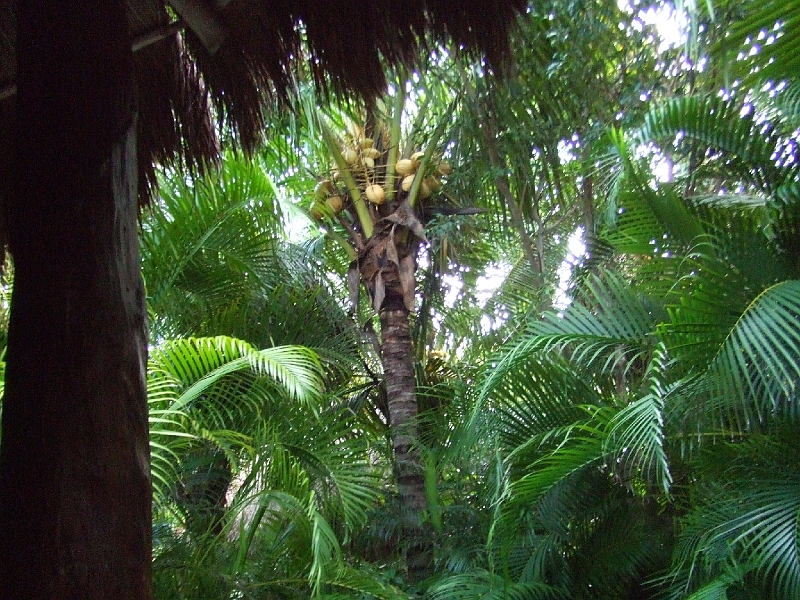 DSCF5976.JPG