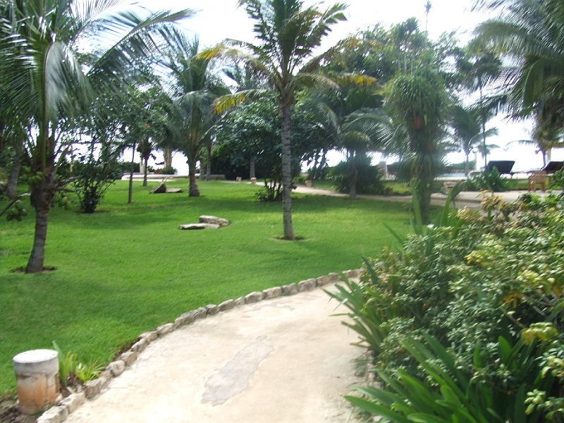 DSCF5979.JPG