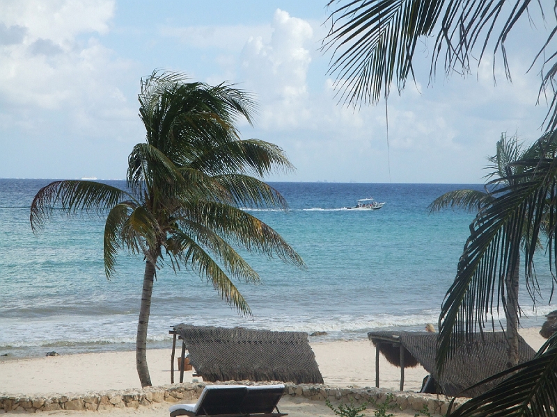 DSCF6020.JPG