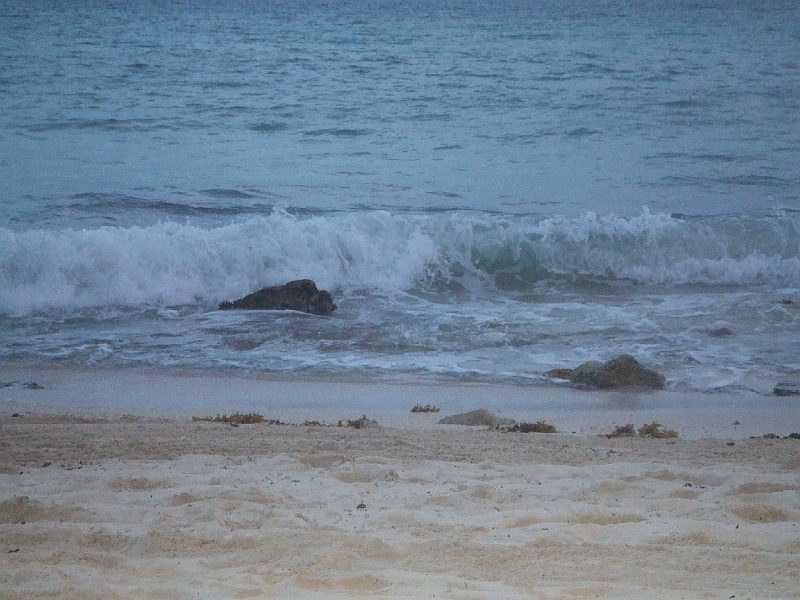 DSCF6081.JPG