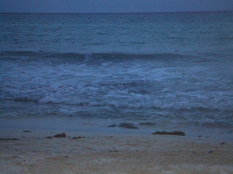 DSCF6085.JPG