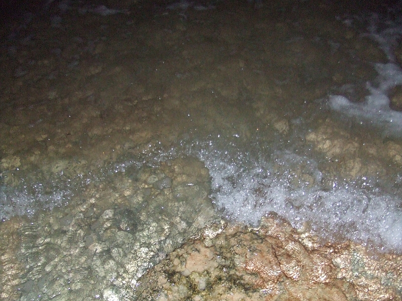 DSCF6118.JPG