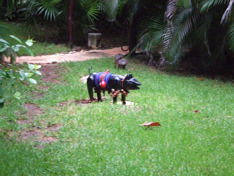 DSCF6138.JPG