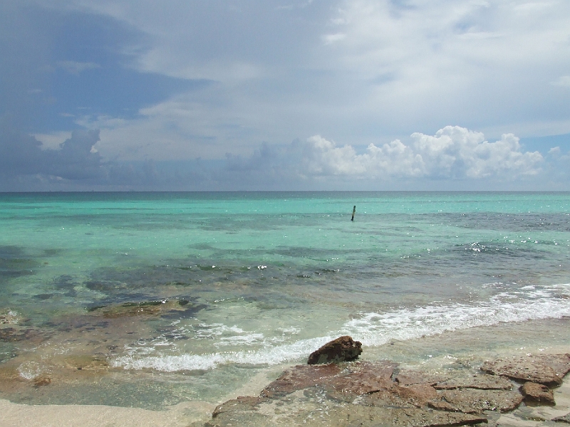DSCF6162.JPG
