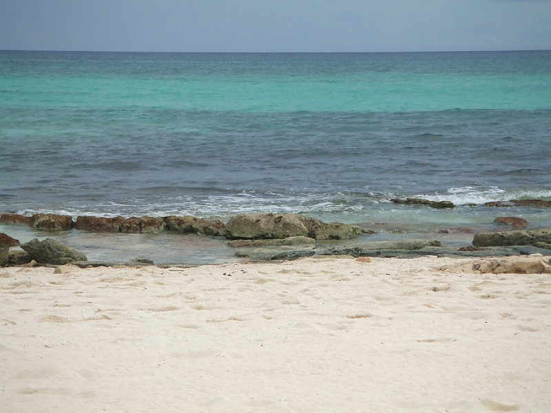 DSCF6171.JPG