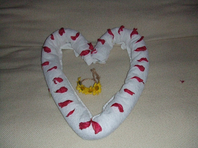 DSCF6239.JPG