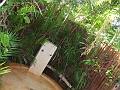 DSCF5952