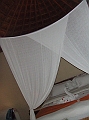 DSCF5955