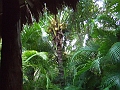 DSCF5976