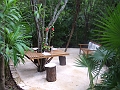 DSCF5978