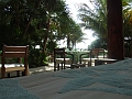 DSCF5980
