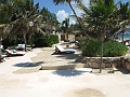 DSCF5981