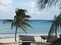 DSCF6020