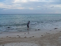DSCF6053