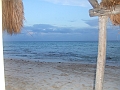 DSCF6077