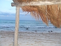 DSCF6080