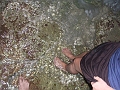 DSCF6094