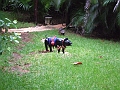 DSCF6138