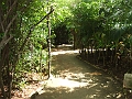 DSCF6160