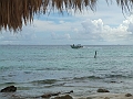 DSCF6166