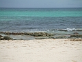 DSCF6171