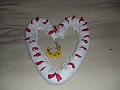DSCF6239